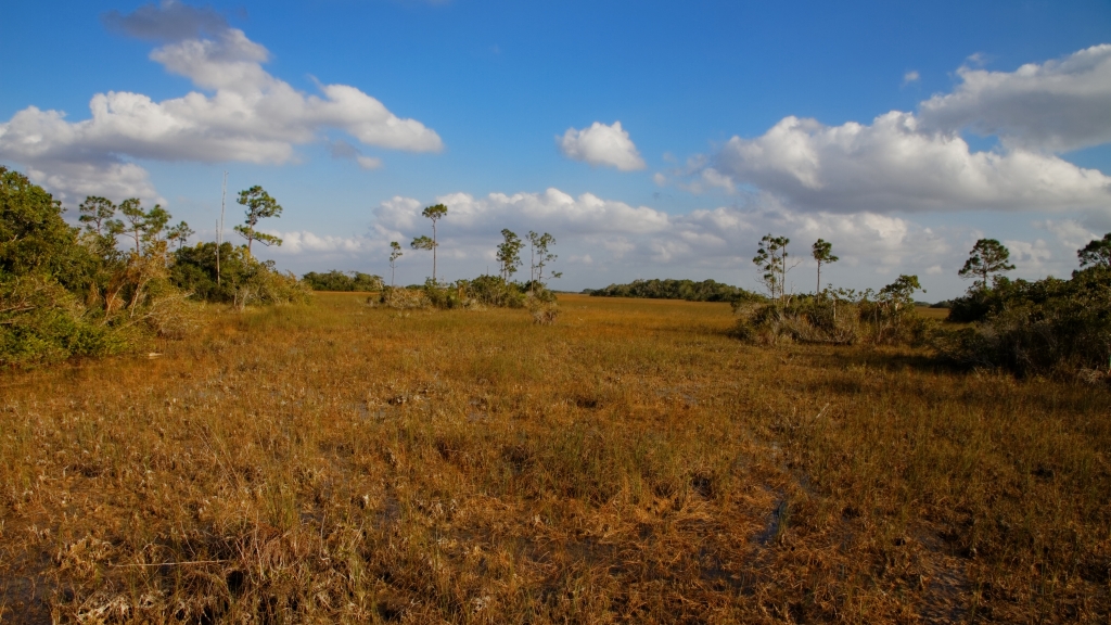 02 - Everglade NP (7).jpg